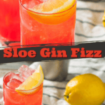 Sloe Gin Fizz Cocktail Recipe