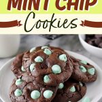 Chocolate Mint Chip Cookies