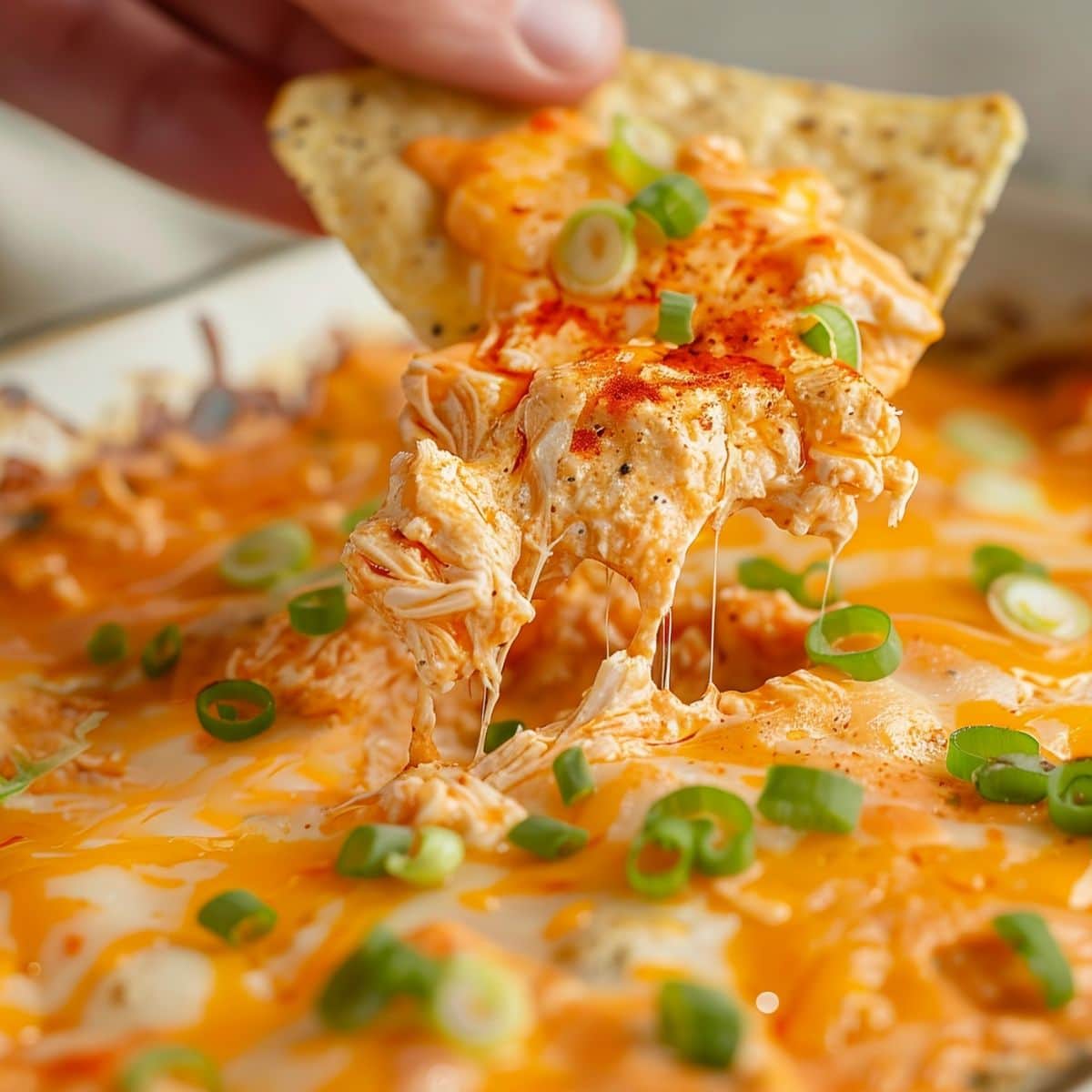 Close Up of Tortilla Chip Scooping Gooey, Cheesy Frank's Buffalo Chicken Dip with Green Onions