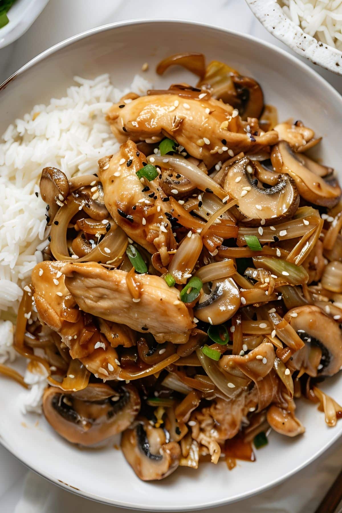 Close Up of Rice and Moo Shu Chicken with Mushrooms, Onions, Green Onions, Sesame Seeds, and Cabbage in a White Bowl