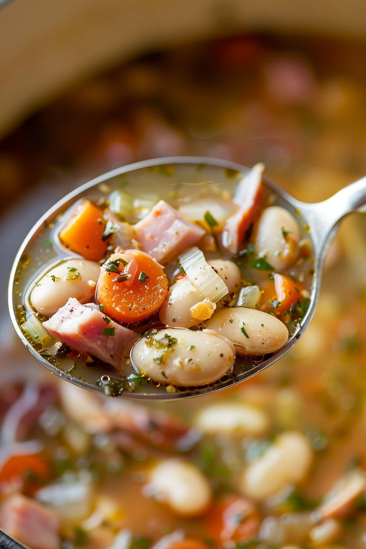 Super Close Up of Spoonful of Ham and Bean Soup with Herbs and Seasonings 