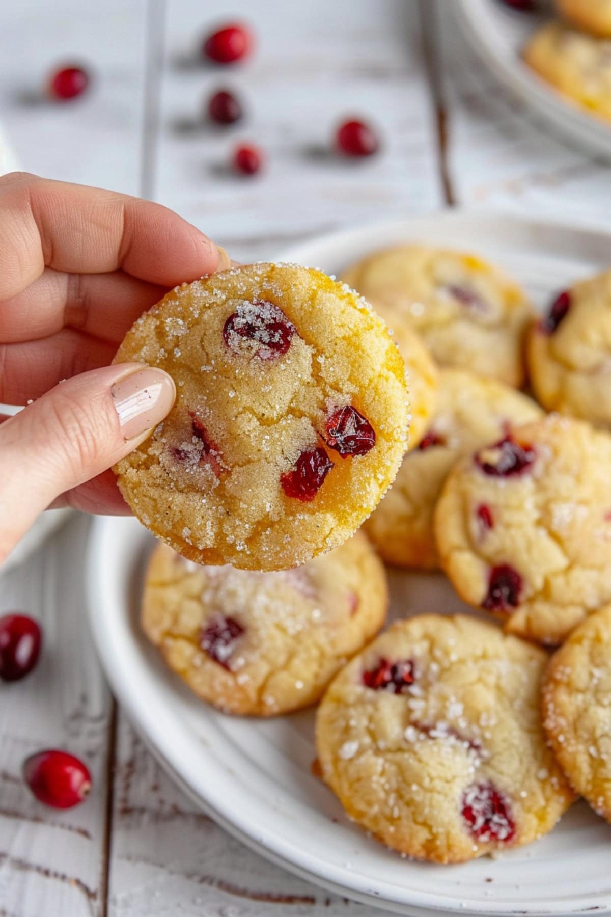 Hand holding a piece of orange cranberry cookie from a bunch of servings in a white plate.