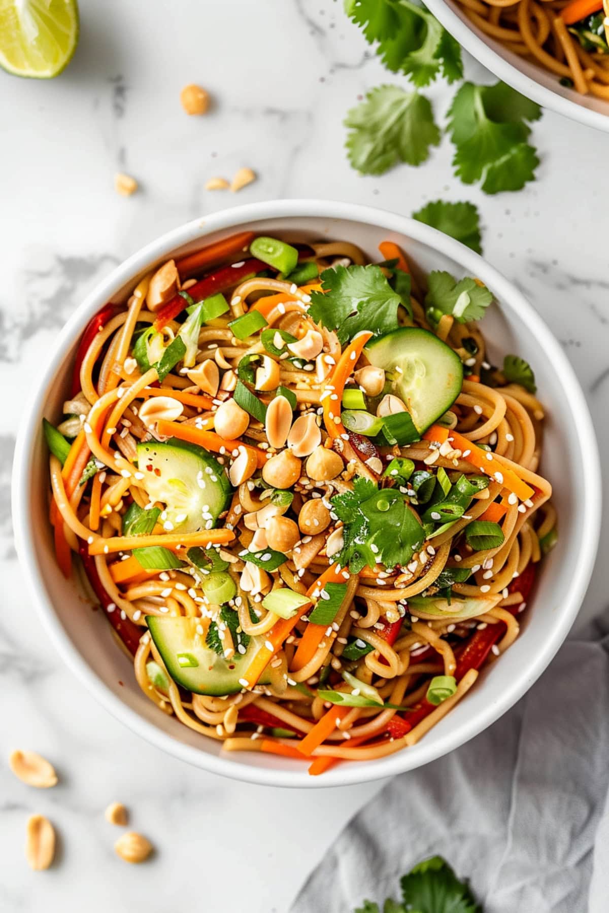 Crispy and tender noodle salad topped with peanuts, cucumbers, green onions, carrots and cilantro.