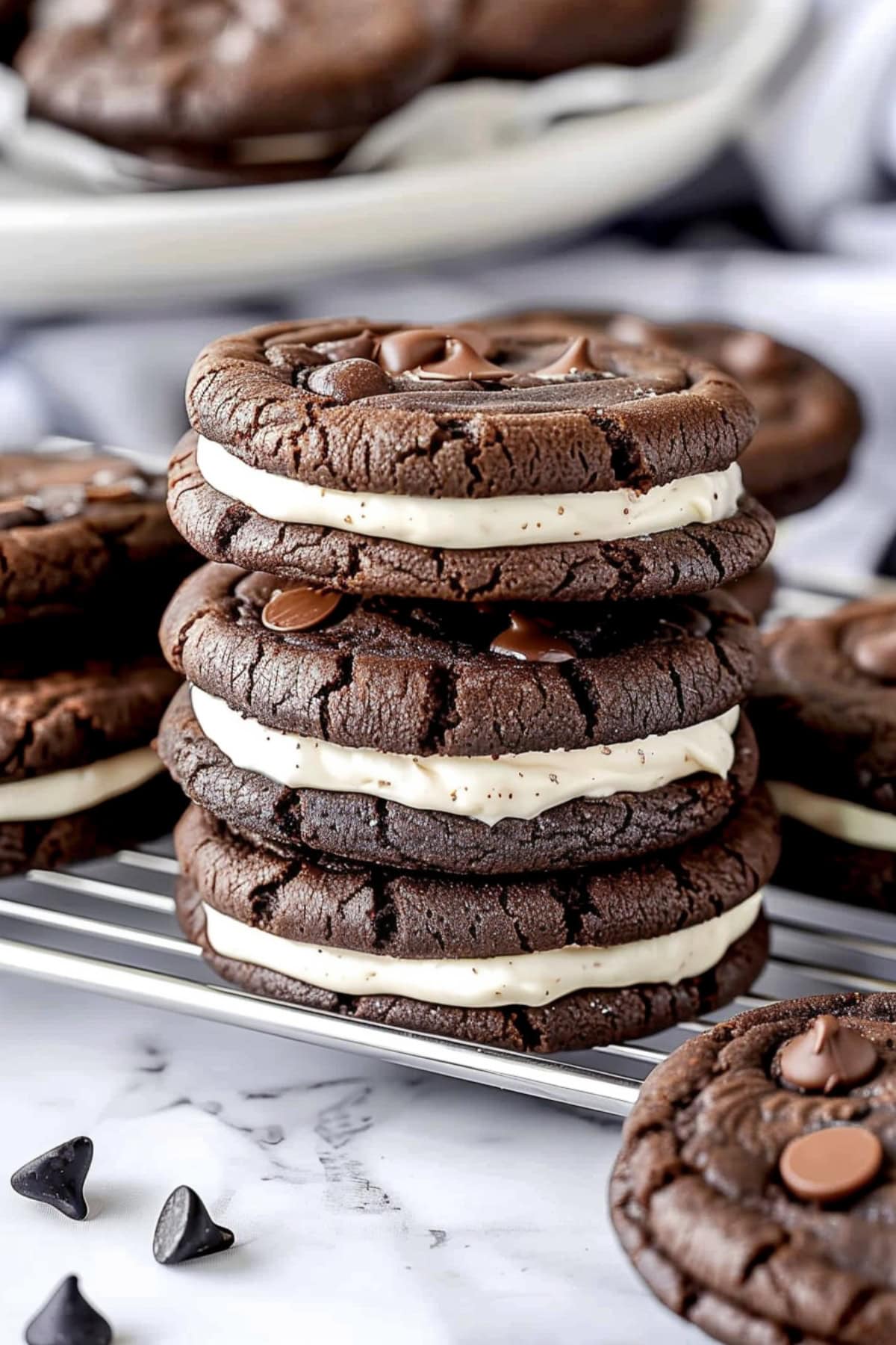 Chocolate cookies with chocolate chips on top on a cooling rack, top down view