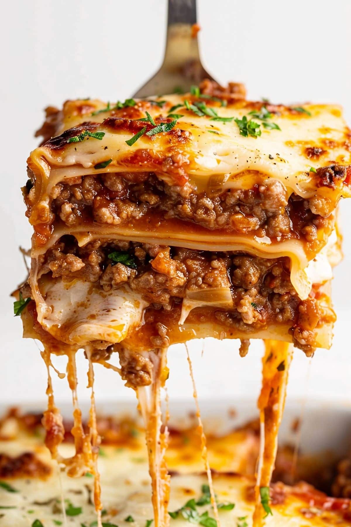Close Up Slice of Cheesy, Gooey Prego Lasagna Cross Section with Layers of Prego Sauce Meat, Cheese, Noodles, and Herbs and Spices