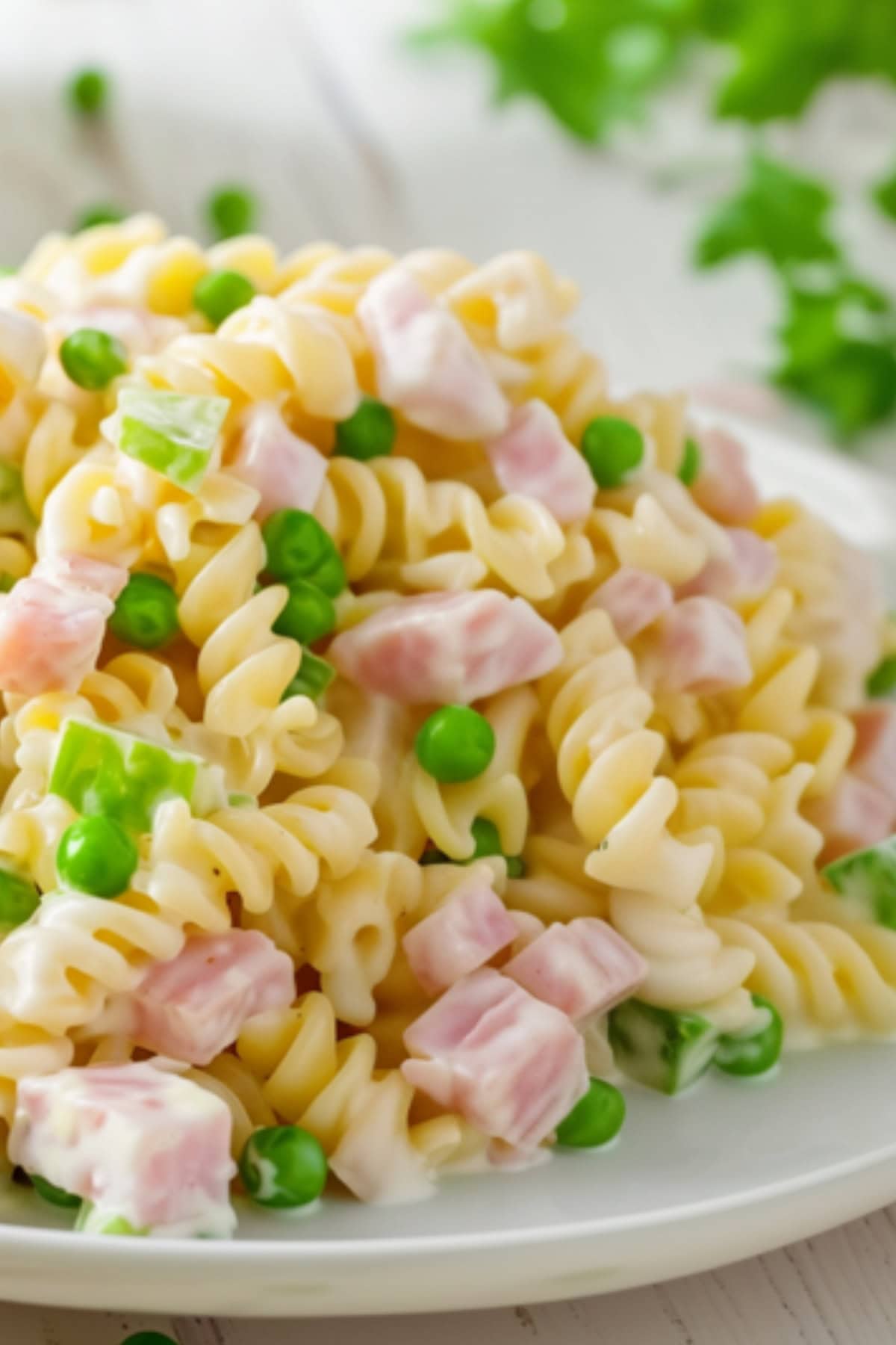 Close up view of a plateful of salad with rotini pasta.