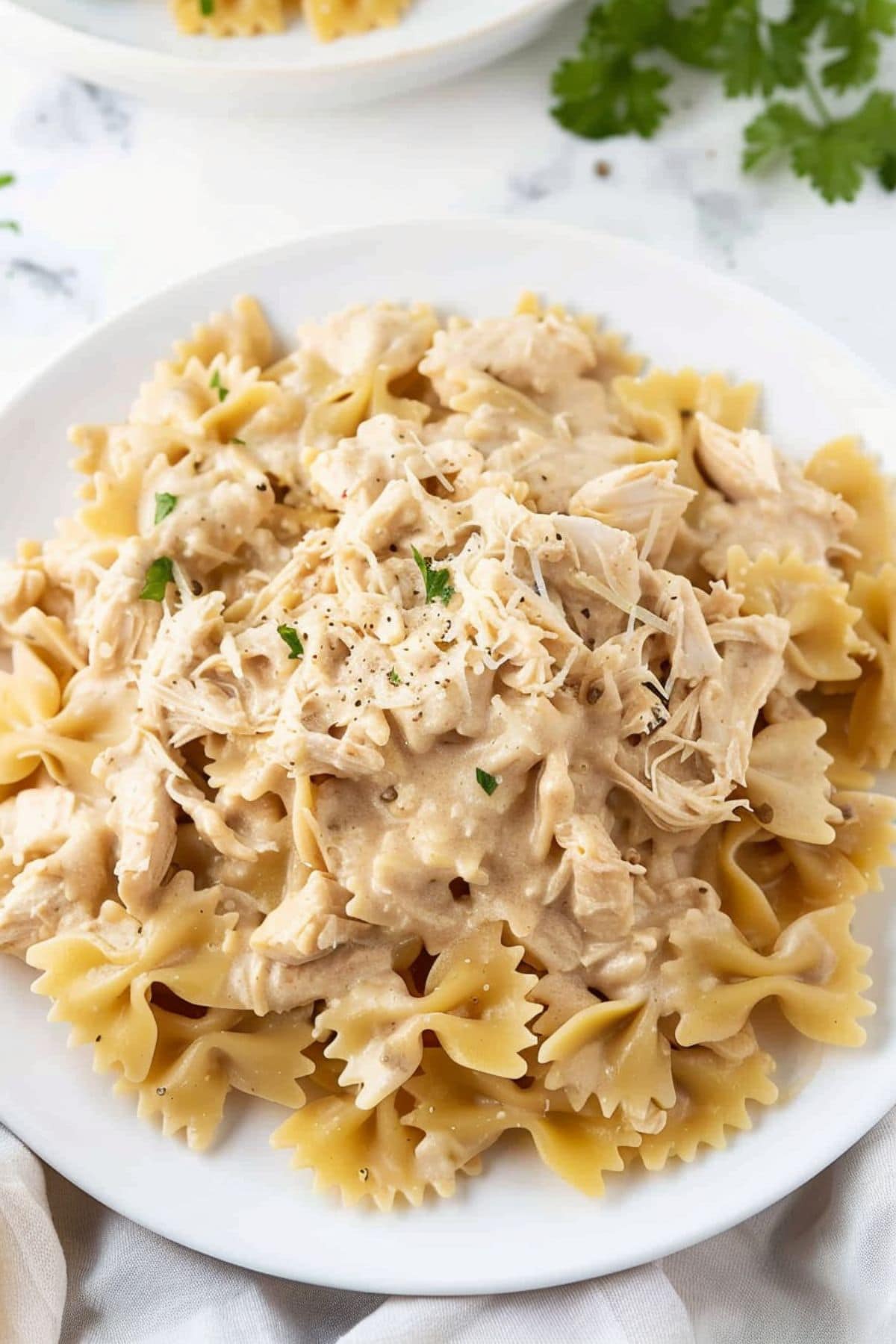 Shredded chicken with creamy sauce topped on bowtie pasta served on a white plate.