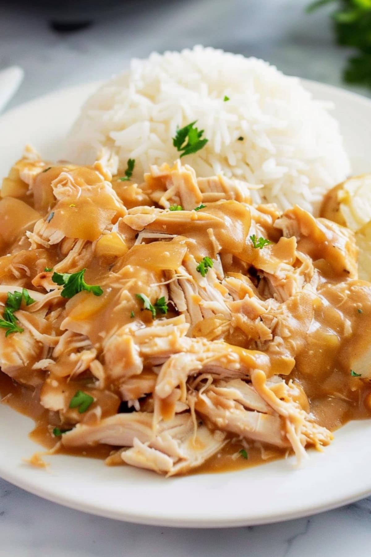 A serving of shredded chicken crockpot with white rice.