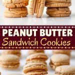 Peanut Butter Sandwich Cookies