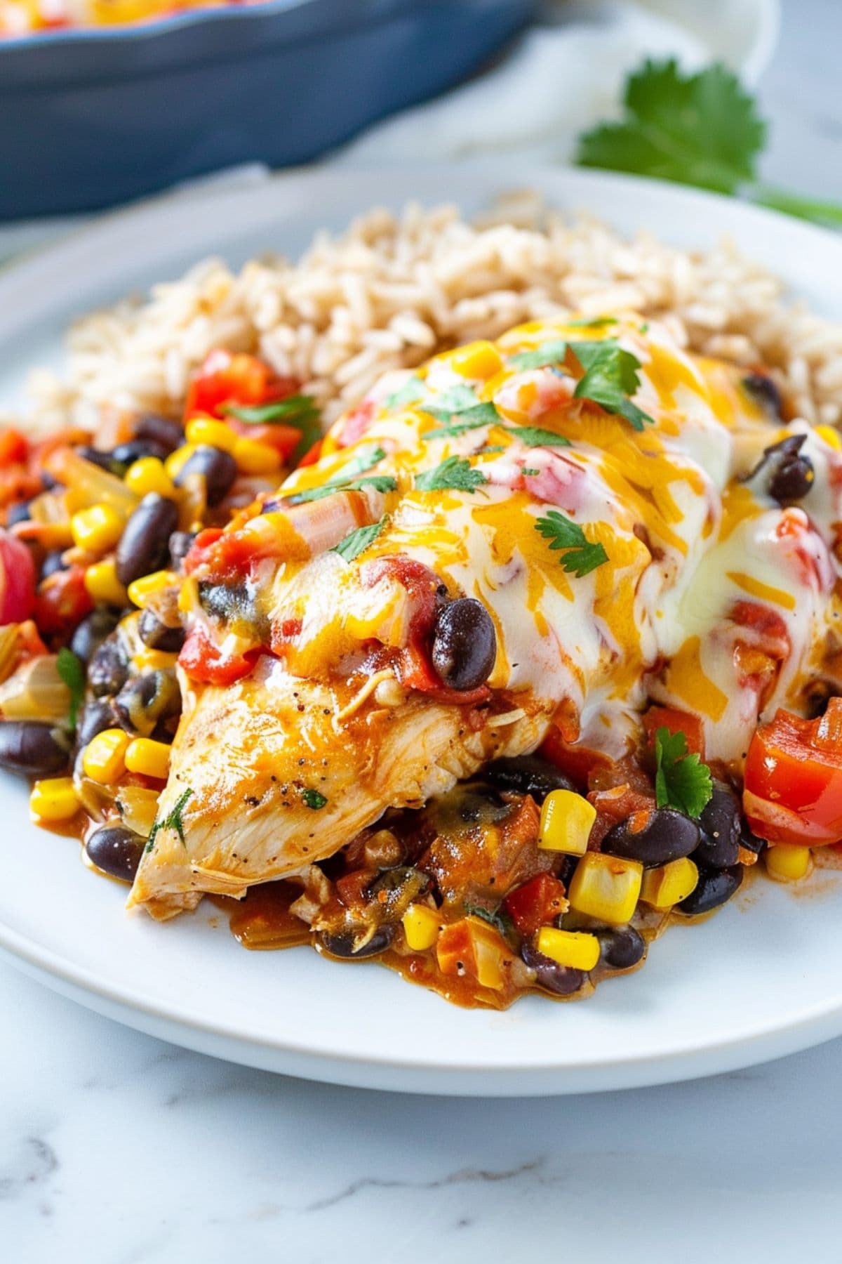 Santa Fe chicken served with brown rice on a white plate.