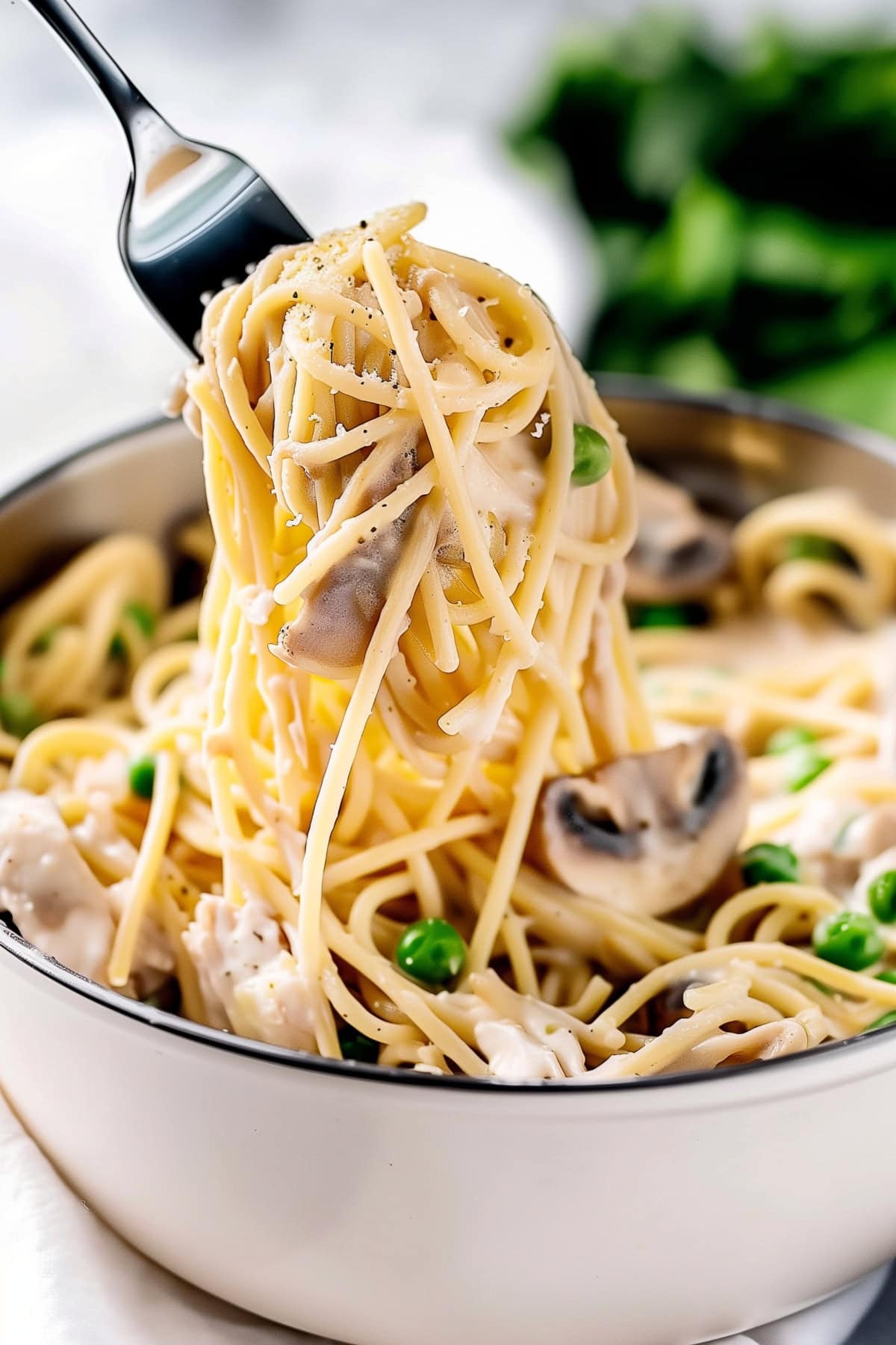 Turkey tetrazzini served with a fork, close-up