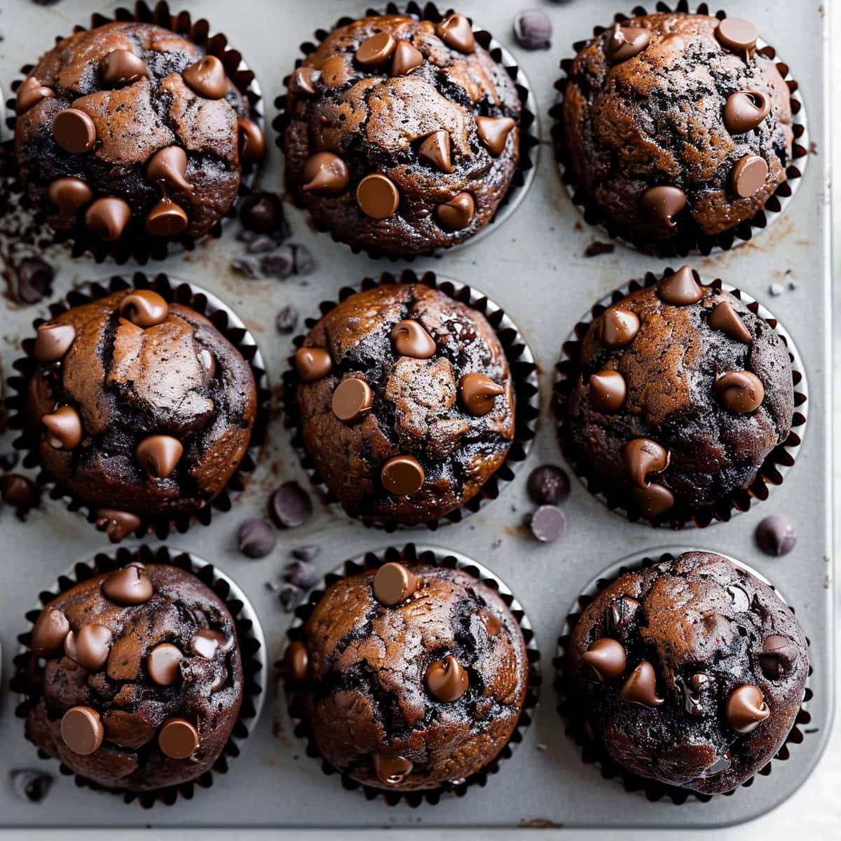 Double Chocolate Muffins In Baking Pan