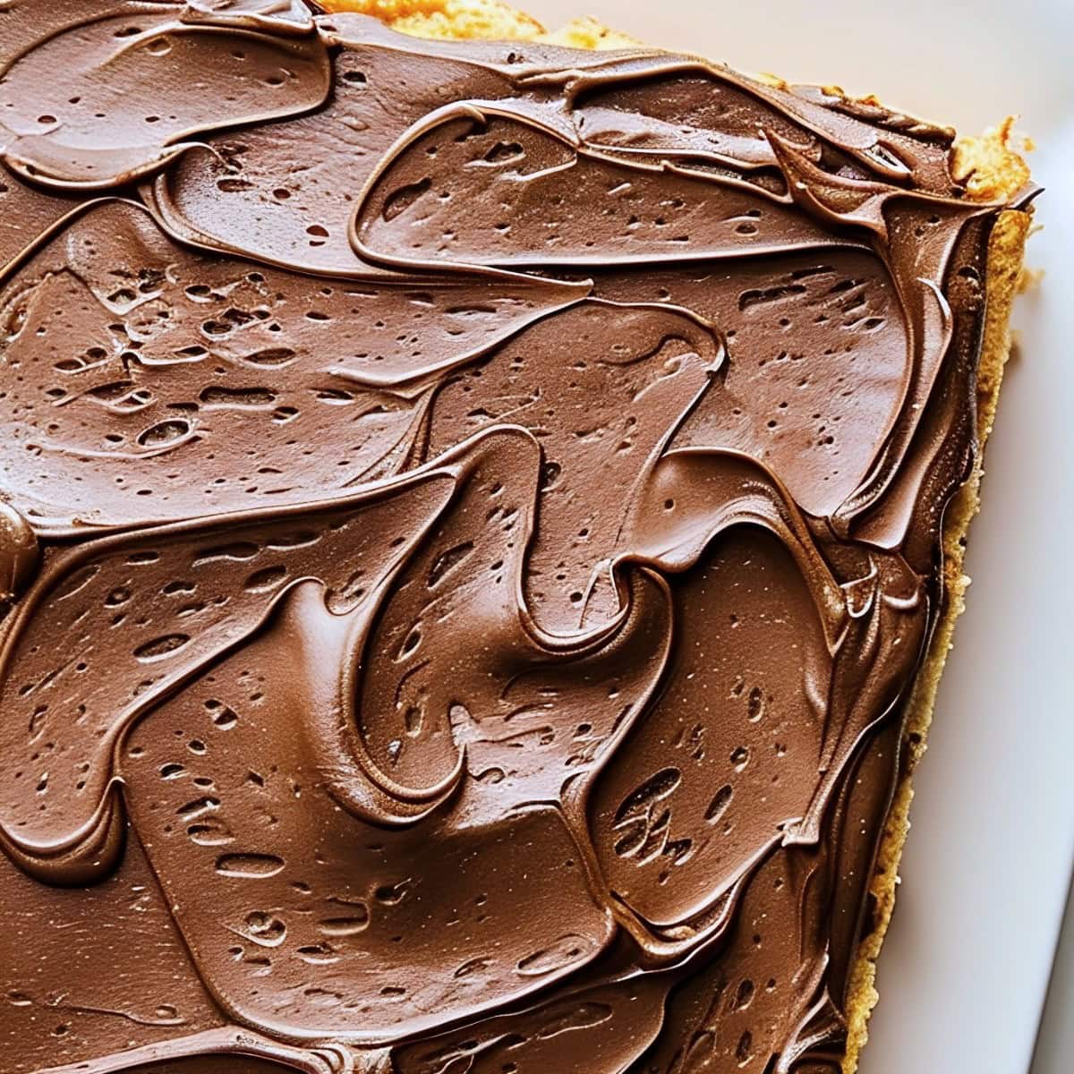 Yellow Sheet Cake with Chocolate Frosting, Close-Up