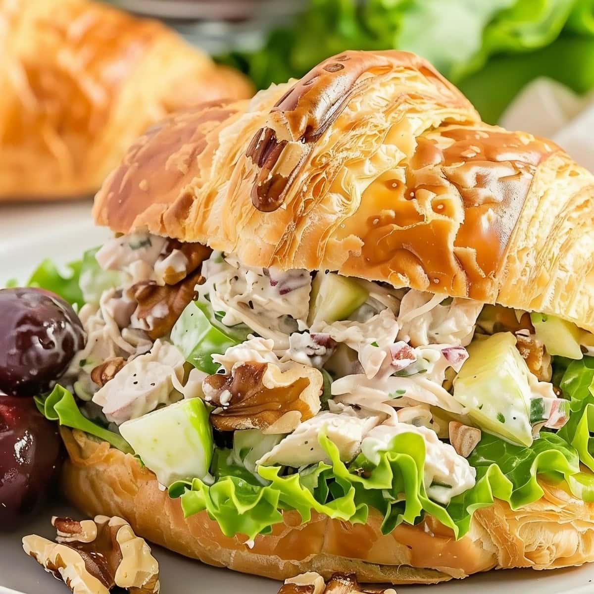 Apple walnut chicken salad in a croissant bread with lettuce.