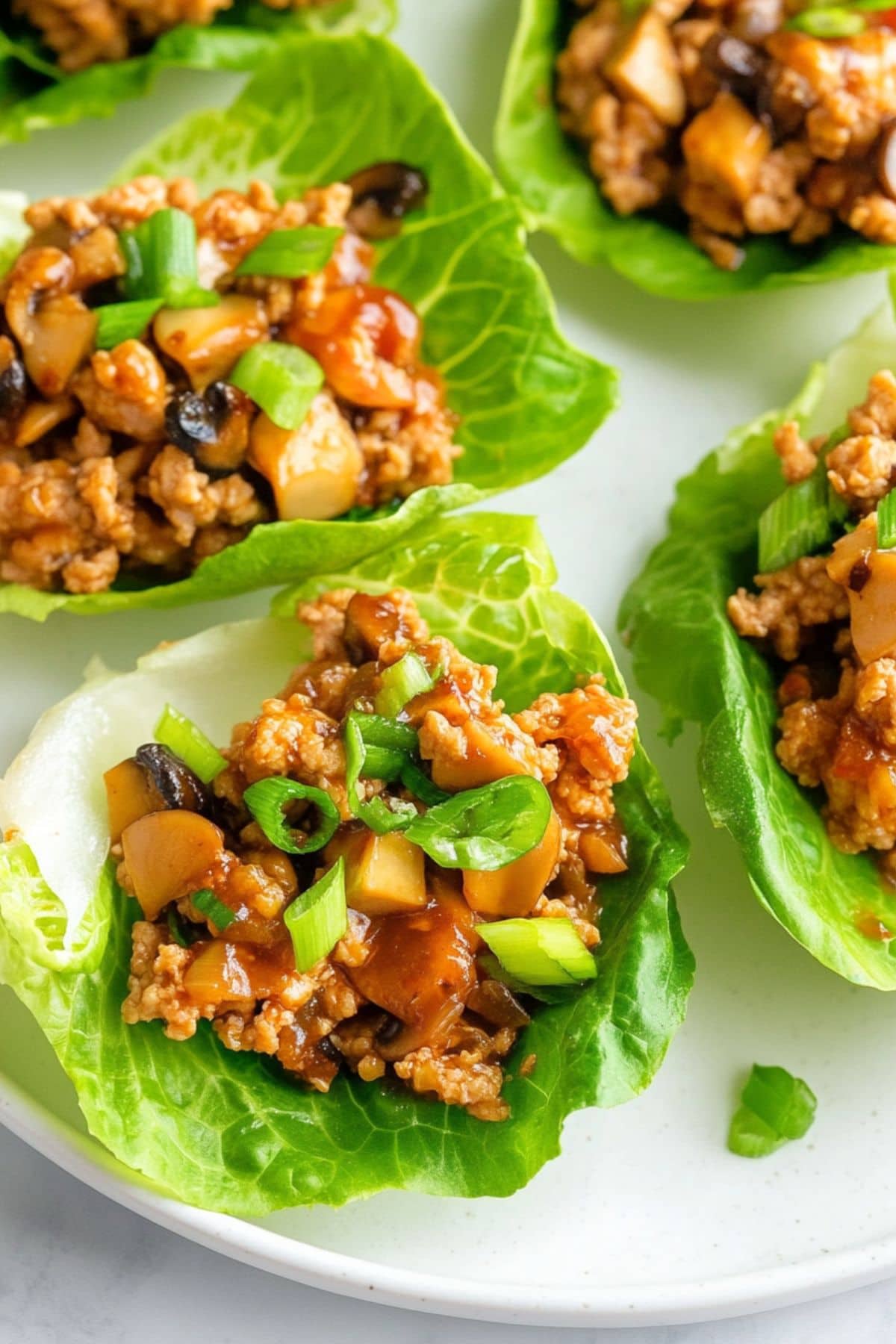 Asian chicken lettuce wraps arranged in a white plate. 