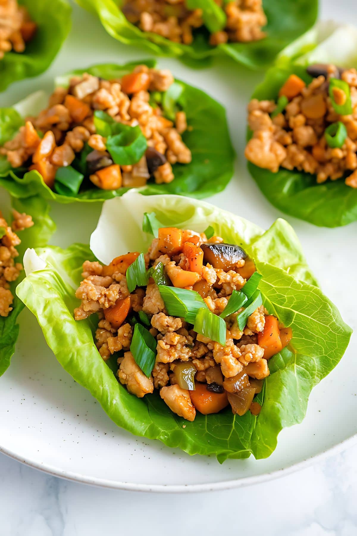 Lettuce wraps with ground chicken, mushroom and chestnut arranged in a white plate.