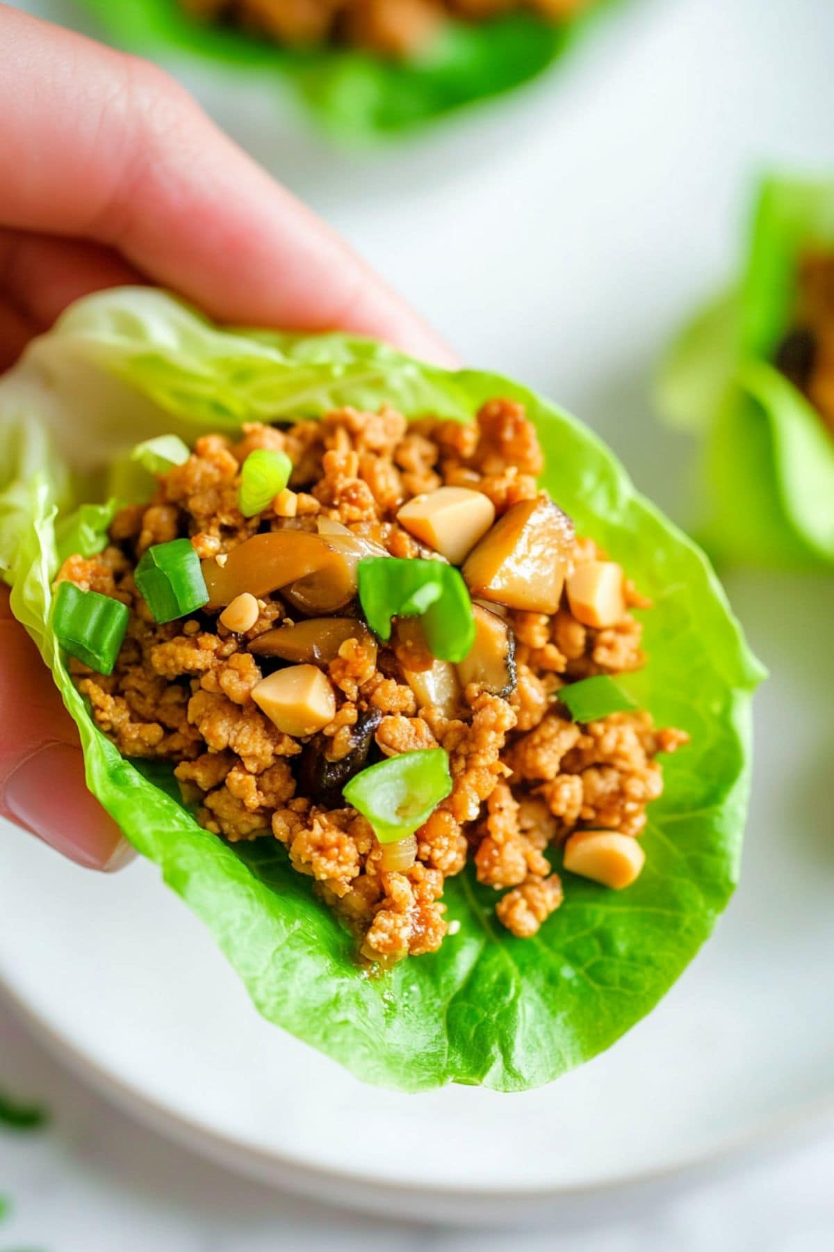 Hand holding chicken lettuce wraps.