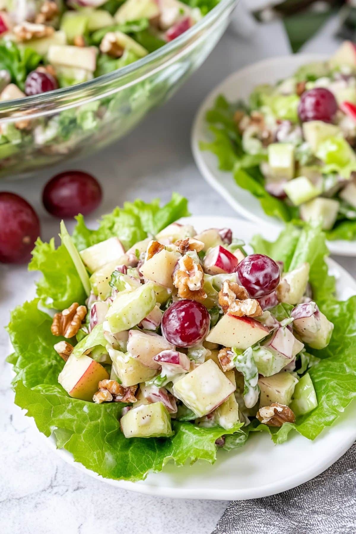 Serving of classic wardolf salad in a bed of lettuce on a white plate.