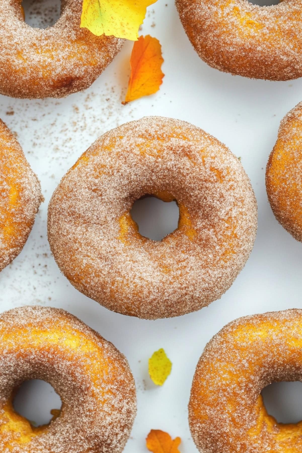 Cinnamon sugar coated pumpkin donuts flat lay on a white surface. 