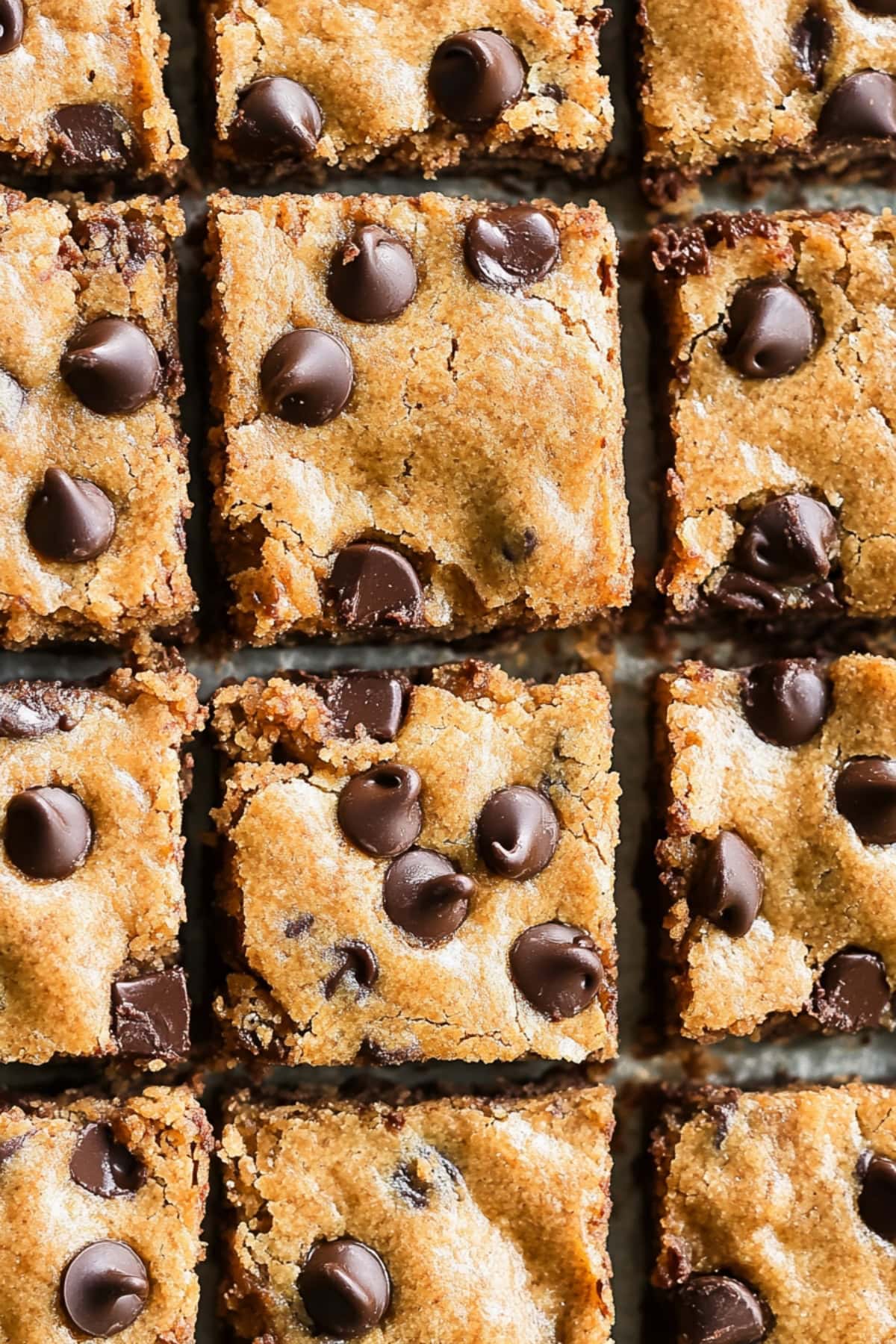 Freshly baked peanut butter chocolate chip bars cut into squares, top view