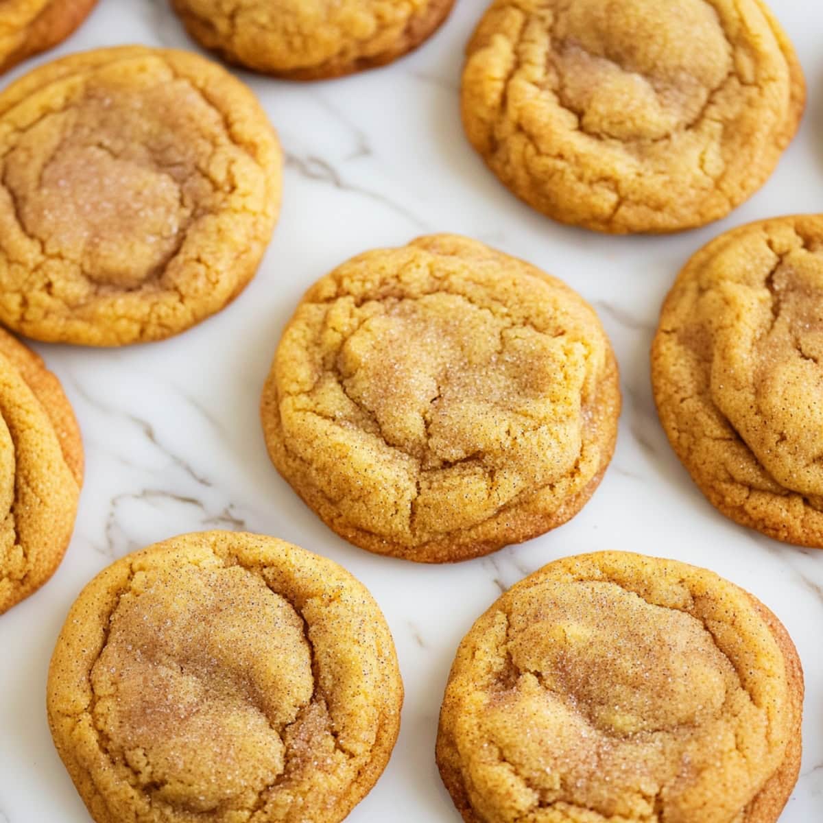 Close-up of soft pumpkin snickerdoodle cookies with cinnamon sugar coating.